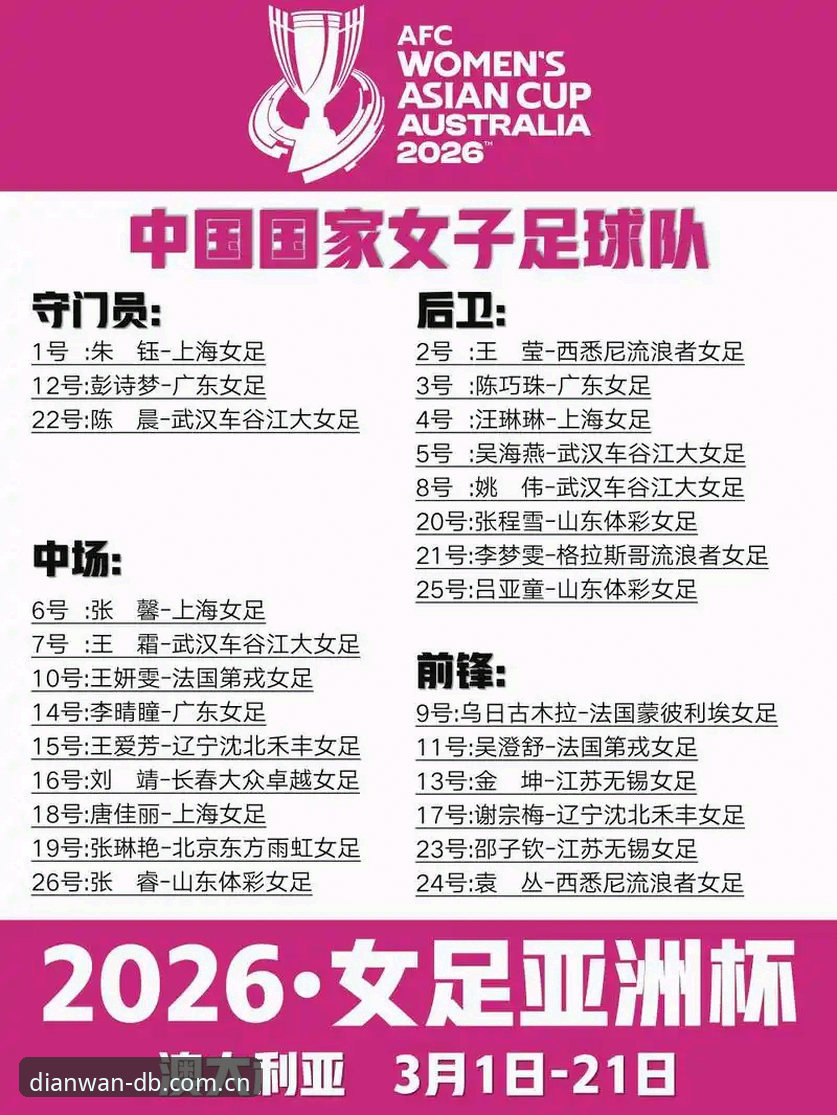 世界杯观赛受阻？从地缘政治风波看赛事出行实用指南